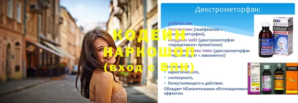 хмурый Гусь-Хрустальный