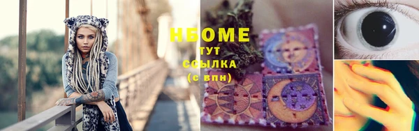 хмурый Гусь-Хрустальный
