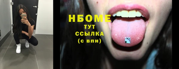 хмурый Гусь-Хрустальный
