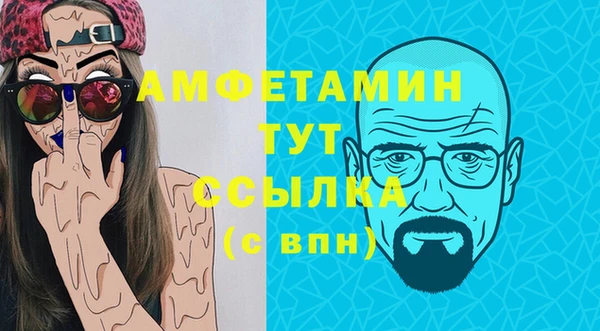 хмурый Гусь-Хрустальный