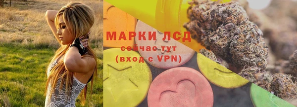 хмурый Гусь-Хрустальный