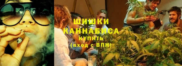 хмурый Гусь-Хрустальный