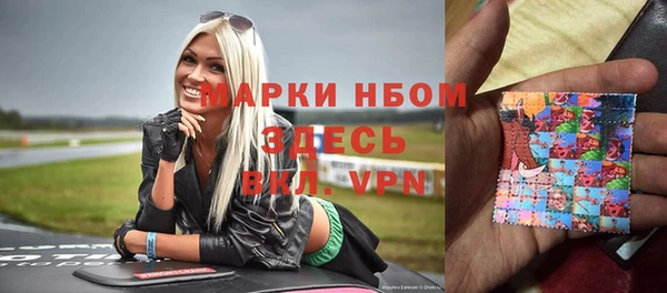 хмурый Гусь-Хрустальный