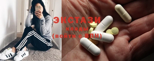 хмурый Гусь-Хрустальный